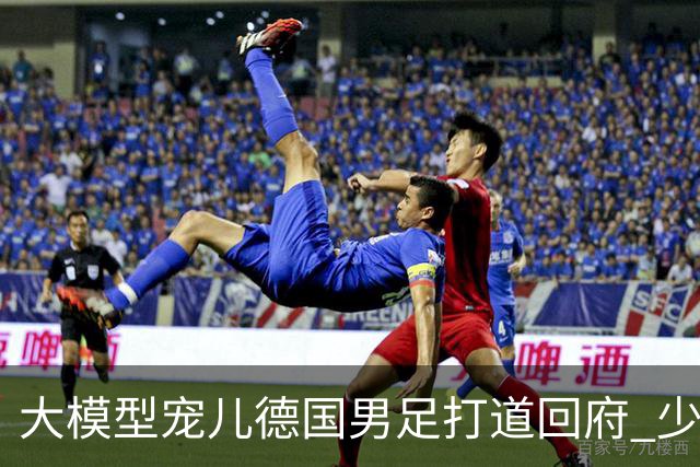 大模型宠儿德国男足打道回府 少了人性观察数据等于废纸